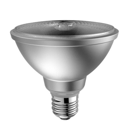 PAR30 LED Ampuller
